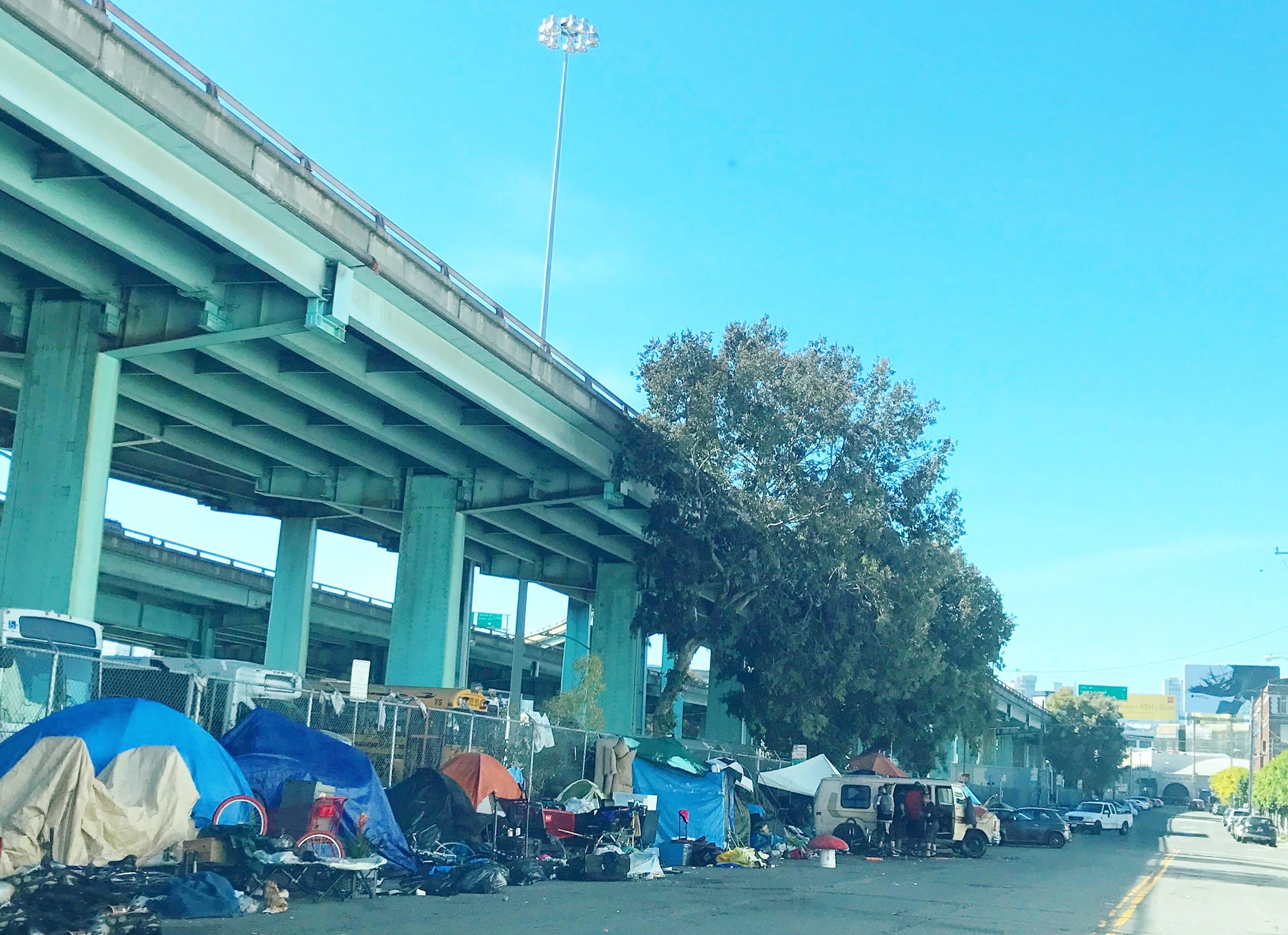 California’s Homeless Crisis: The Impact of Liberal Policies